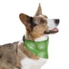 Stylish Pet Bandana Collar - Green Paw Print Design for Dogs, Dog/Cat Lover Gifts - Image 11
