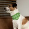 Stylish Pet Bandana Collar - Green Paw Print Design for Dogs, Dog/Cat Lover Gifts - Image 3