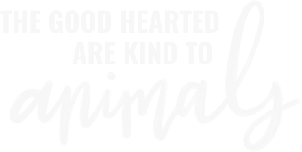 The Good Hearted Are Kind to Animals